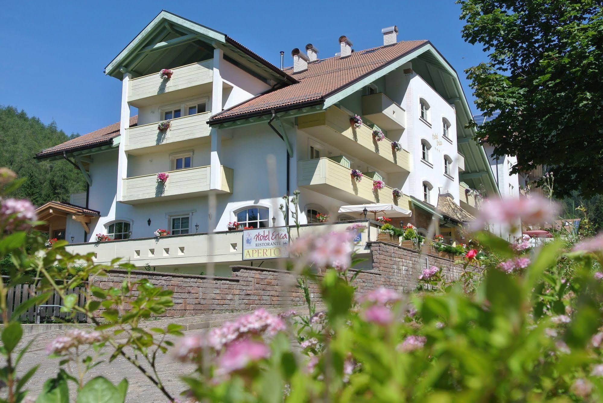 Hotel Erica Teser im Fleimtal Exterior foto